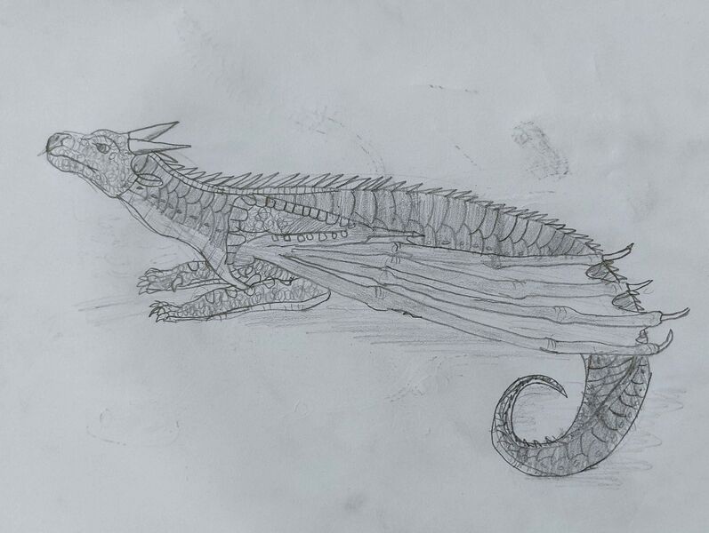 File:Cvi ada dragon 2.jpg