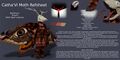 A reference sheet of one of Catha'Vi's imaginary characters, a model they would later use to create a pornographic e621 post.